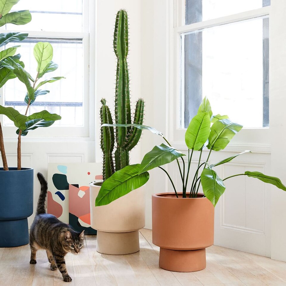 Faux Potted Cactus Plant West Elm UK